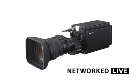 HDC-P50A