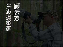 A9M3大师说